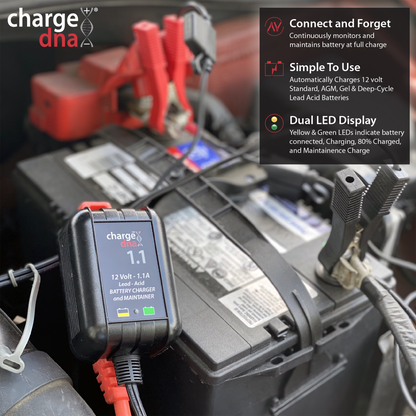 ChargeDNA 1.1