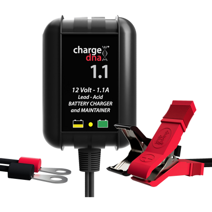 ChargeDNA 1.1