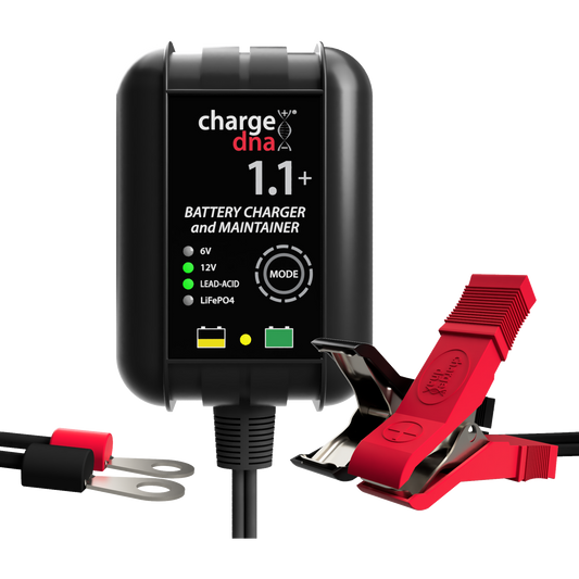 ChargeDNA 1.1+