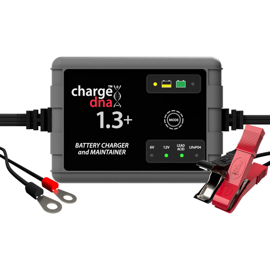 ChargeDNA 1.3+