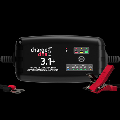 ChargeDNA 3.1+ - ChargeDNA