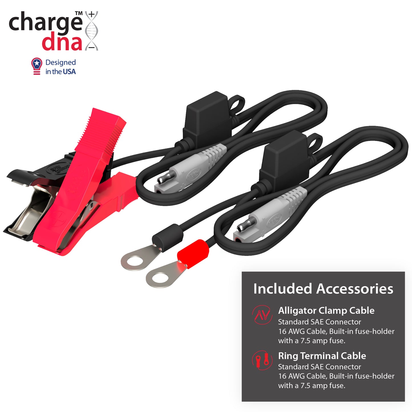 ChargeDNA 1.1