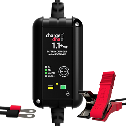ChargeDNA 1.1+ WP - ChargeDNA