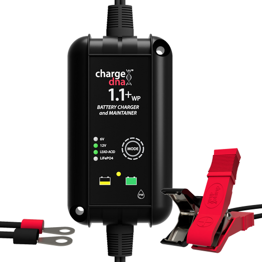 ChargeDNA 1.1+ WP - ChargeDNA