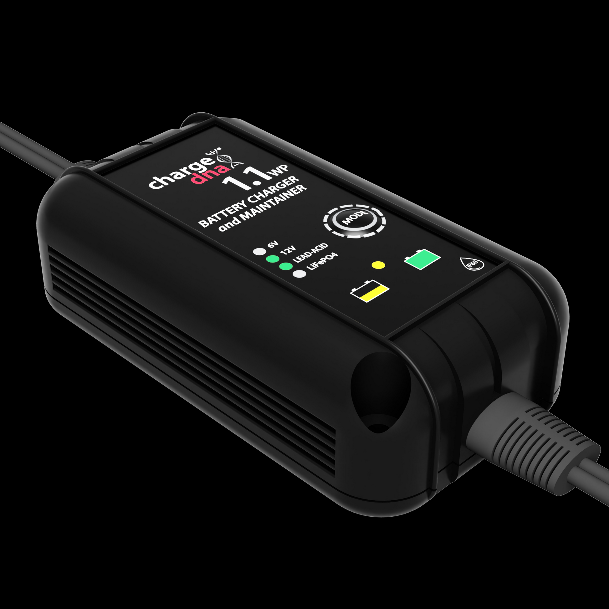 ChargeDNA 1.1 WP - ChargeDNA